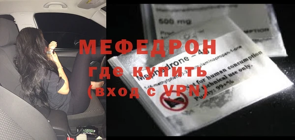 сатива Новозыбков