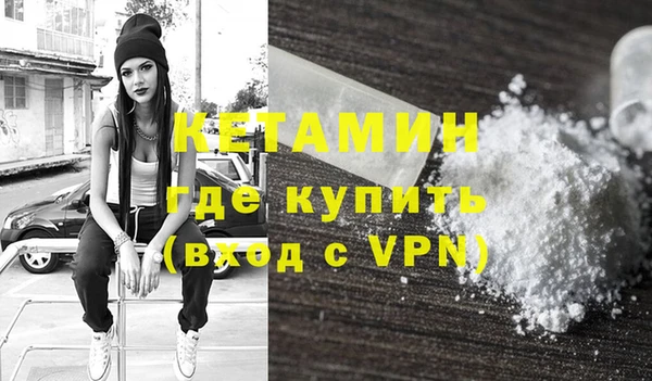 сатива Новозыбков