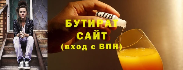 сатива Новозыбков