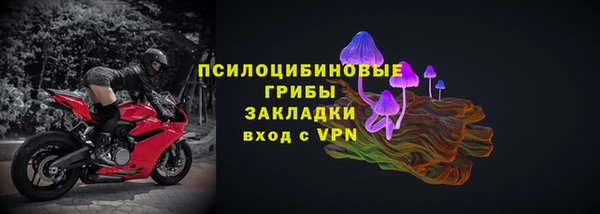 Альфа ПВП Новодвинск