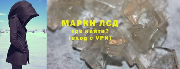 сатива Новозыбков