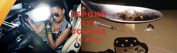 сатива Новозыбков