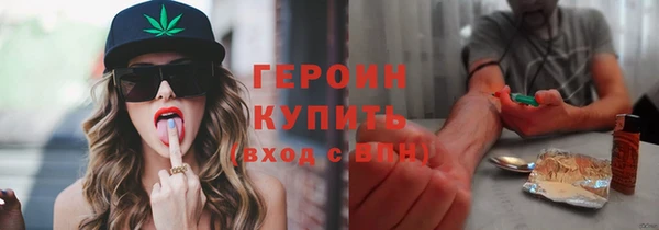 сатива Новозыбков