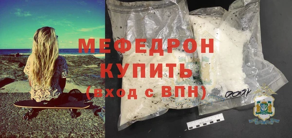 сатива Новозыбков