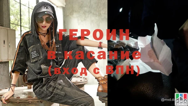сатива Новозыбков