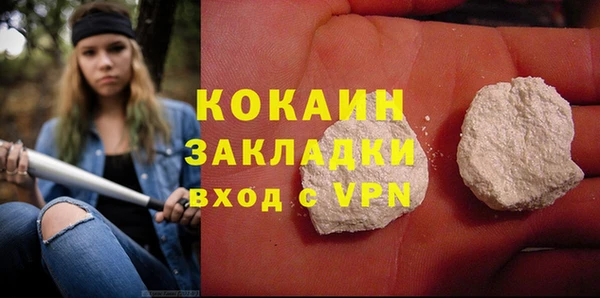 сатива Новозыбков