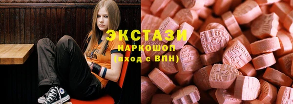 сатива Новозыбков