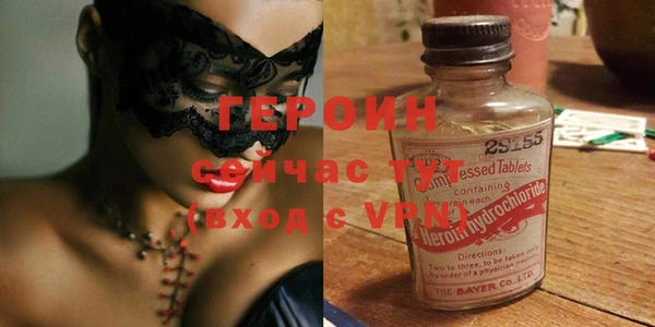 сатива Новозыбков