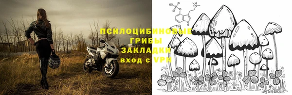 Альфа ПВП Новодвинск