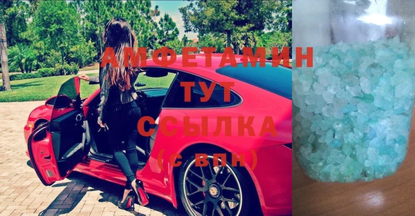 сатива Новозыбков