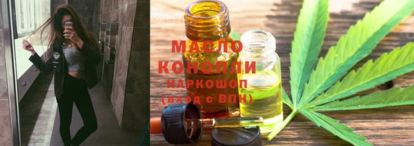 сатива Новозыбков