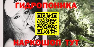 гашик Керчь