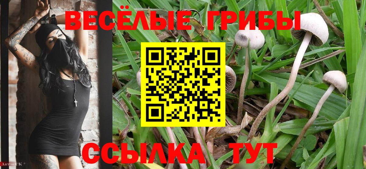 Галлюциногенные грибы MAGIC MUSHROOMS  Галлюциногенные грибы мухоморы  Вход с VPN  Одинцово 