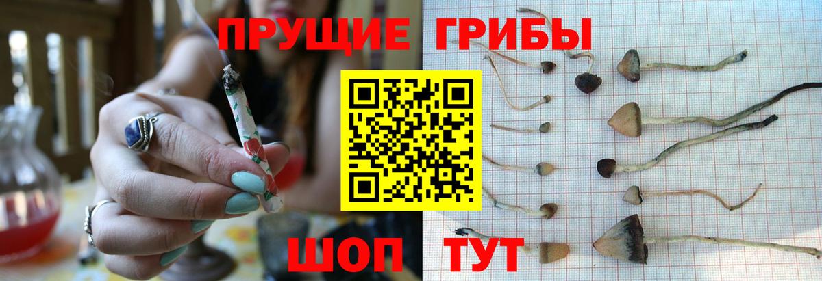 Галлюциногенные грибы GOLDEN TEACHER Одинцово